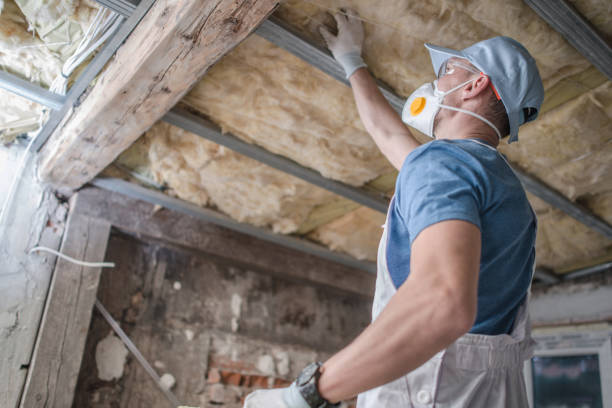 Best Insulation Installation Services in Green Springs, OH